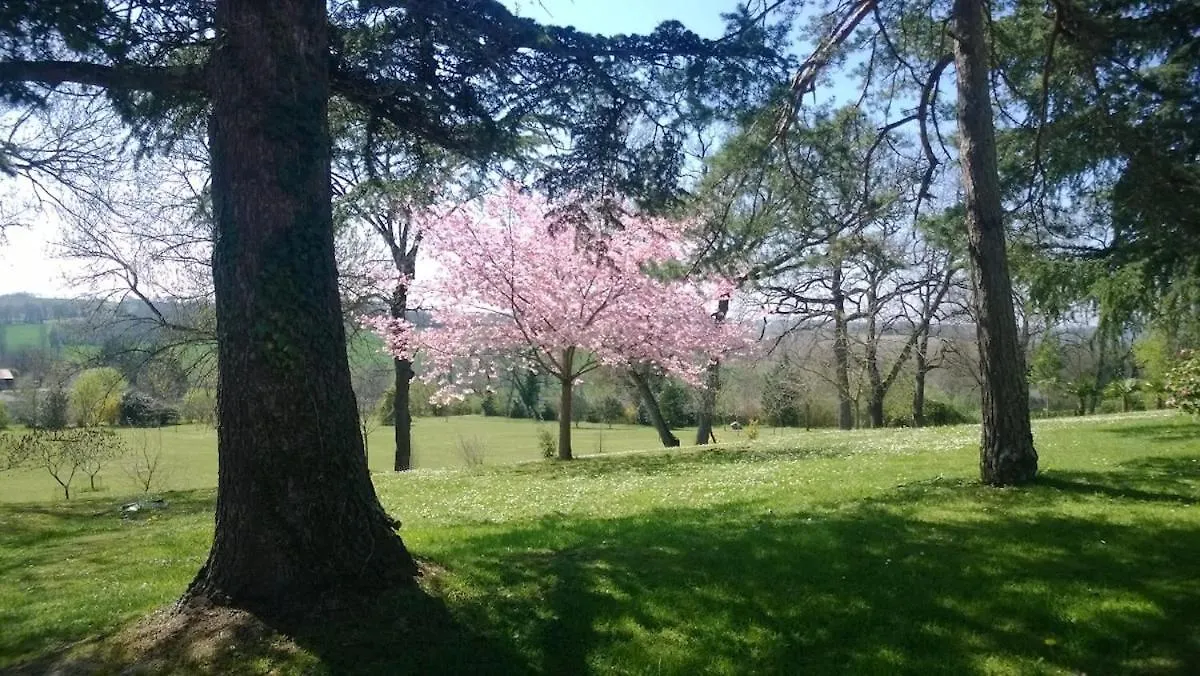 Charmant Cottage En Pierre Dans Un Parc Arbore Condom Frankreich